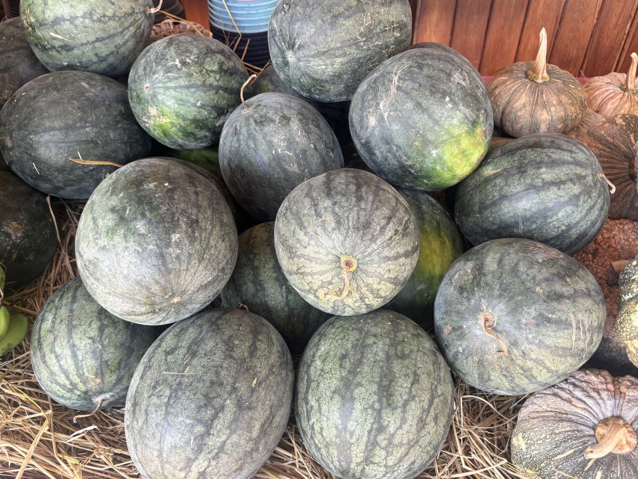 ของดีตำบลกุมภวาปี ผลผลิตทางการเกษตร